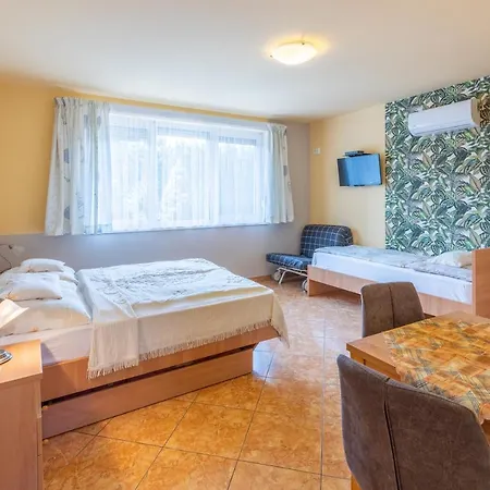 Апартаменты Aranyapartman *