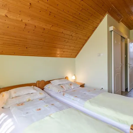 Апартаменты Aranyapartman