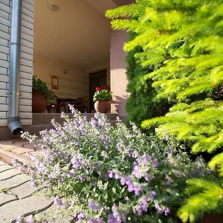 Aranyapartman Апартаменты